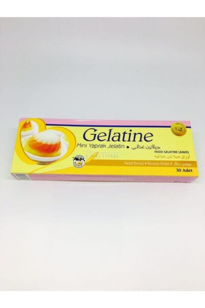 DR GUSTO YAPRAK JELATİN 100 GR-4608